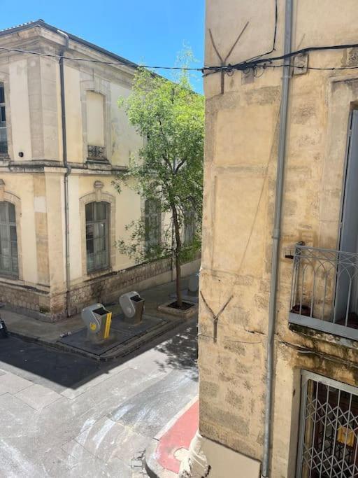 Cocon Ecusson Montpellier Apartment Exterior photo