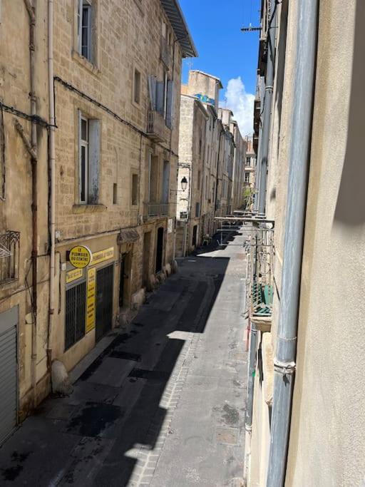 Cocon Ecusson Montpellier Apartment Exterior photo